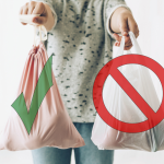 The Environmental Impact of Single-Use Bags: A Call for Sustainable Alternatives