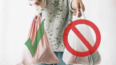 Untitled design (71)